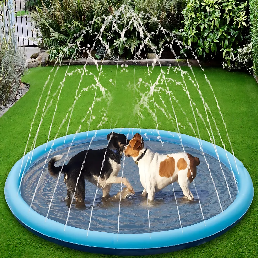 Dog pool