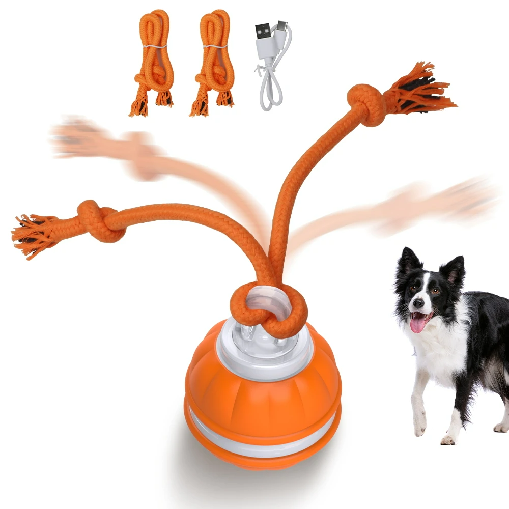 Smart Dog Toy