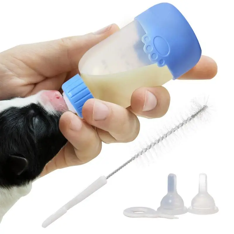 Kitten Nurture Kit