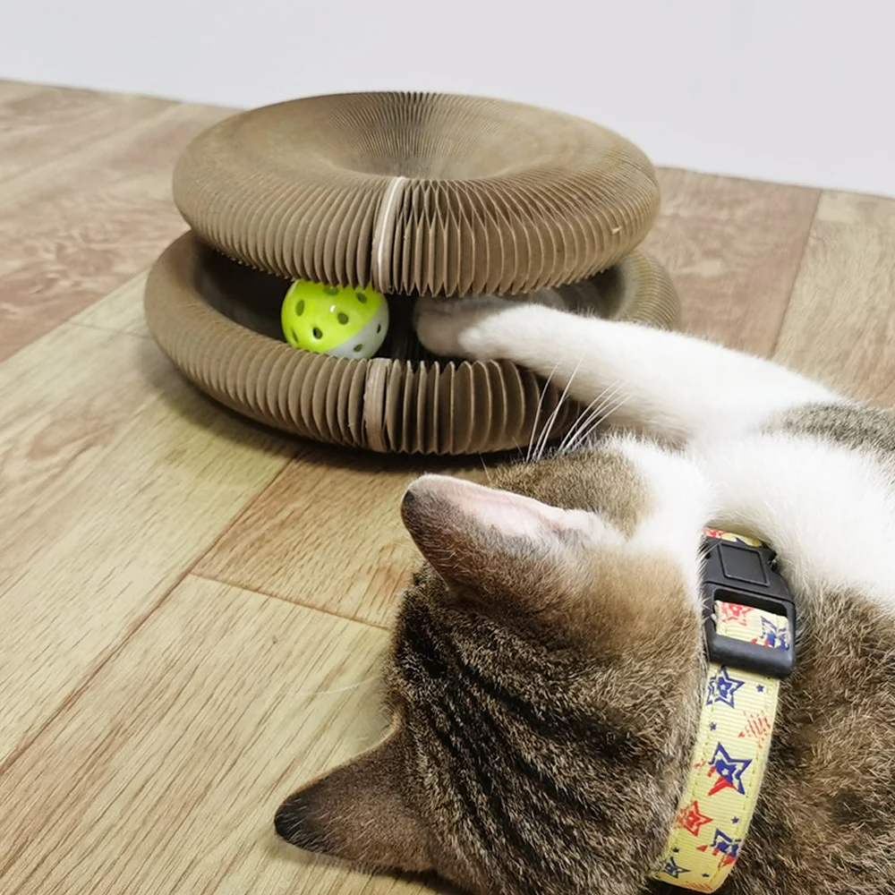 Interactive Scratching Post