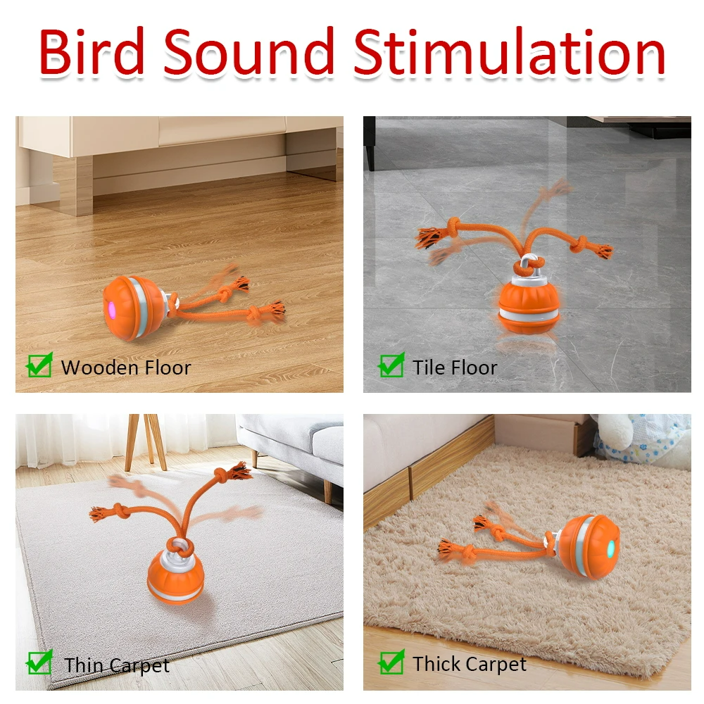 Smart Dog Toy