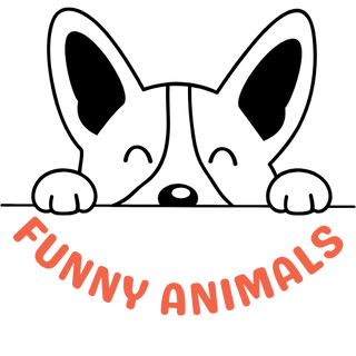 Funny Animals